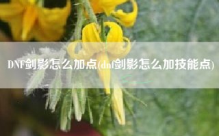 DNF剑影怎么加点(dnf剑影怎么加技能点)