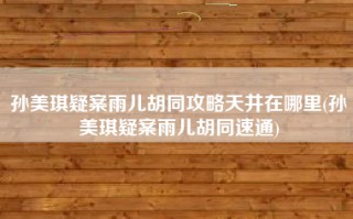 孙美琪疑案雨儿胡同攻略天井在哪里(孙美琪疑案雨儿胡同速通)