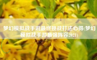 梦幻模拟战手游最终挑战打法心得(梦幻模拟战手游最强阵容2021)