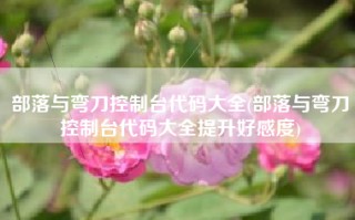 部落与弯刀控制台代码大全(部落与弯刀控制台代码大全提升好感度)