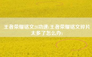 王者荣耀铭文28功速(王者荣耀铭文碎片太多了怎么办)