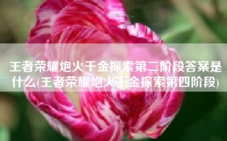 王者荣耀炮火千金探索第二阶段答案是什么(王者荣耀炮火千金探索第四阶段)