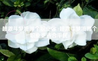 超激斗梦境哪个职业强 (超激斗梦境哪个职业更适合平民)