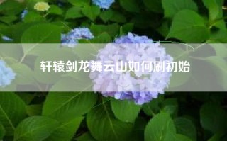 轩辕剑龙舞云山如何刷初始
