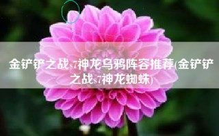 金铲铲之战s7神龙乌鸦阵容推荐(金铲铲之战s7神龙蜘蛛)
