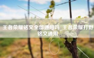 王者荣耀铭文全部通用吗_王者荣耀打野铭文通用