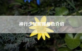 神行少女妮娜角色介绍