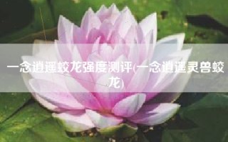 一念逍遥蛟龙强度测评(一念逍遥灵兽蛟龙)