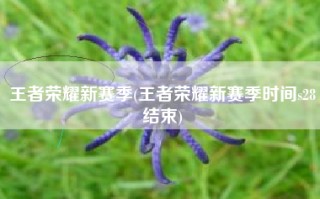 王者荣耀新赛季(王者荣耀新赛季时间s28结束)