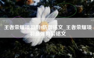 王者荣耀项羽用9防御铭文_王者荣耀项羽最强肉装铭文