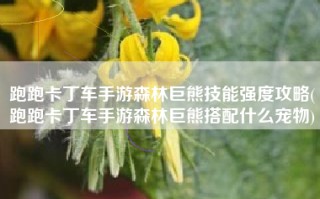 跑跑卡丁车手游森林巨熊技能强度攻略(跑跑卡丁车手游森林巨熊搭配什么宠物)