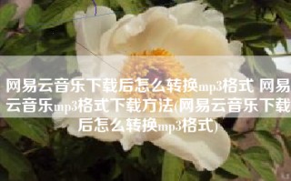 网易云音乐下载后怎么转换mp3格式 网易云音乐mp3格式下载方法(网易云音乐下载后怎么转换mp3格式)