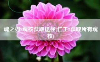 魂之刃2魂核获取途径(仁王2获取所有魂核)