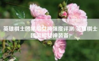 英雄棋士团黑暗女神强度评测(英雄棋士团黑暗女神装备)