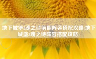 地下城堡3魂之诗前期阵容搭配攻略(地下城堡3魂之诗阵容搭配攻略)
