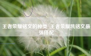 王者荣耀铭文的种类_王者荣耀凯铭文最强搭配