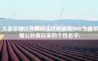 王者荣耀公孙离玩法攻略最新2022(王者荣耀公孙离玩家的个性名字)