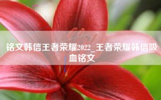 铭文韩信王者荣耀2022_王者荣耀韩信吸血铭文