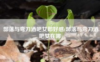 部落与弯刀酒吧女郎好感(部落与弯刀酒吧女在哪)