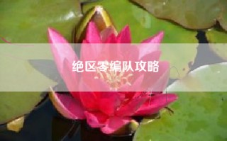 绝区零编队攻略
