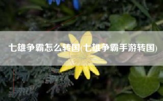 七雄争霸怎么转国(七雄争霸手游转国)