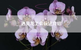 遇见龙工会玩法介绍