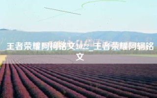王者荣耀阿柯铭文2022_王者荣耀阿轲铭文