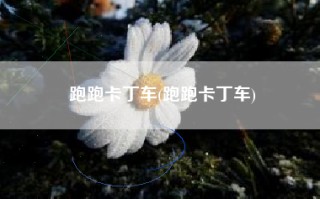 跑跑卡丁车(跑跑卡丁车)