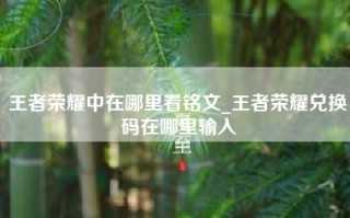 王者荣耀中在哪里看铭文_王者荣耀兑换码在哪里输入
