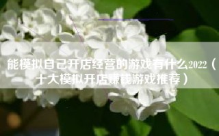 能模拟自己开店经营的游戏有什么2022（十大模拟开店赚钱游戏推荐）