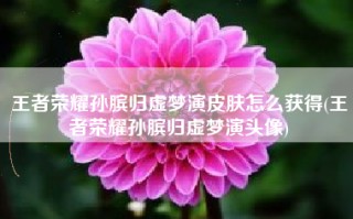 王者荣耀孙膑归虚梦演皮肤怎么获得(王者荣耀孙膑归虚梦演头像)