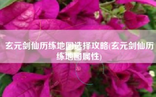 玄元剑仙历练地图选择攻略(玄元剑仙历练地图属性)