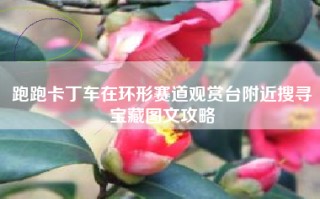 跑跑卡丁车在环形赛道观赏台附近搜寻宝藏图文攻略