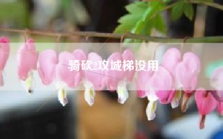 骑砍2攻城梯没用