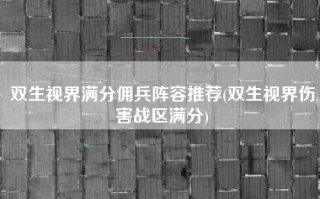 双生视界满分佣兵阵容推荐(双生视界伤害战区满分)
