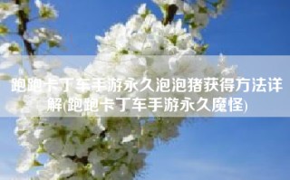 跑跑卡丁车手游永久泡泡猪获得方法详解(跑跑卡丁车手游永久魔怪)