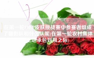 在第一轮FMVP皮肤挑战赛中参赛者组成了猫影队和什么队呢(在第一轮农村集体土地承包到期之际)