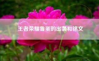 王者荣耀鲁蛋的出装和铭文
