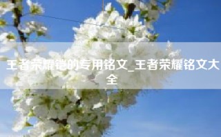 王者荣耀铠的专用铭文_王者荣耀铭文大全