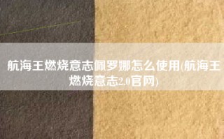 航海王燃烧意志佩罗娜怎么使用(航海王燃烧意志2.0官网)