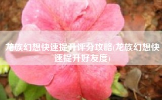 龙族幻想快速提升评分攻略(龙族幻想快速提升好友度)