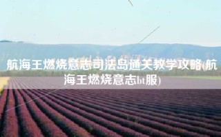 航海王燃烧意志司法岛通关教学攻略(航海王燃烧意志bt服)