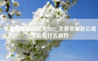 王者荣耀赵云铭文2022_王者荣耀赵云铭文装备什么最好