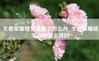 王者荣耀铭文误删了怎么办_王者荣耀铭文误删怎么找回