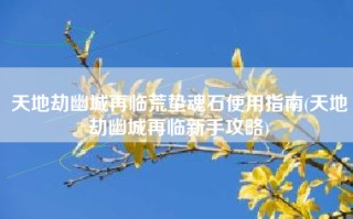 天地劫幽城再临荒蛰魂石使用指南(天地劫幽城再临新手攻略)
