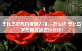 奥比岛梦想国度黑古拉npc怎么样(奥比岛梦想国度黑古拉在哪)