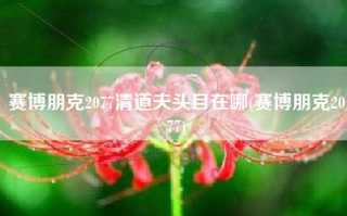 赛博朋克2077清道夫头目在哪(赛博朋克2077)