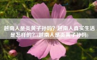 越南人是炎黄子孙吗？越南人真实生活是怎样的？(越南人是炎黄子孙吗)