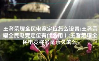 王者荣耀全民电竞定位怎么设置(王者荣耀全民电竞定位有什么用）(王者荣耀全民电竞称号是永久的么)