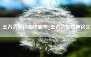 王者荣耀铭文攻亚琴_王者荣耀攻速铭文